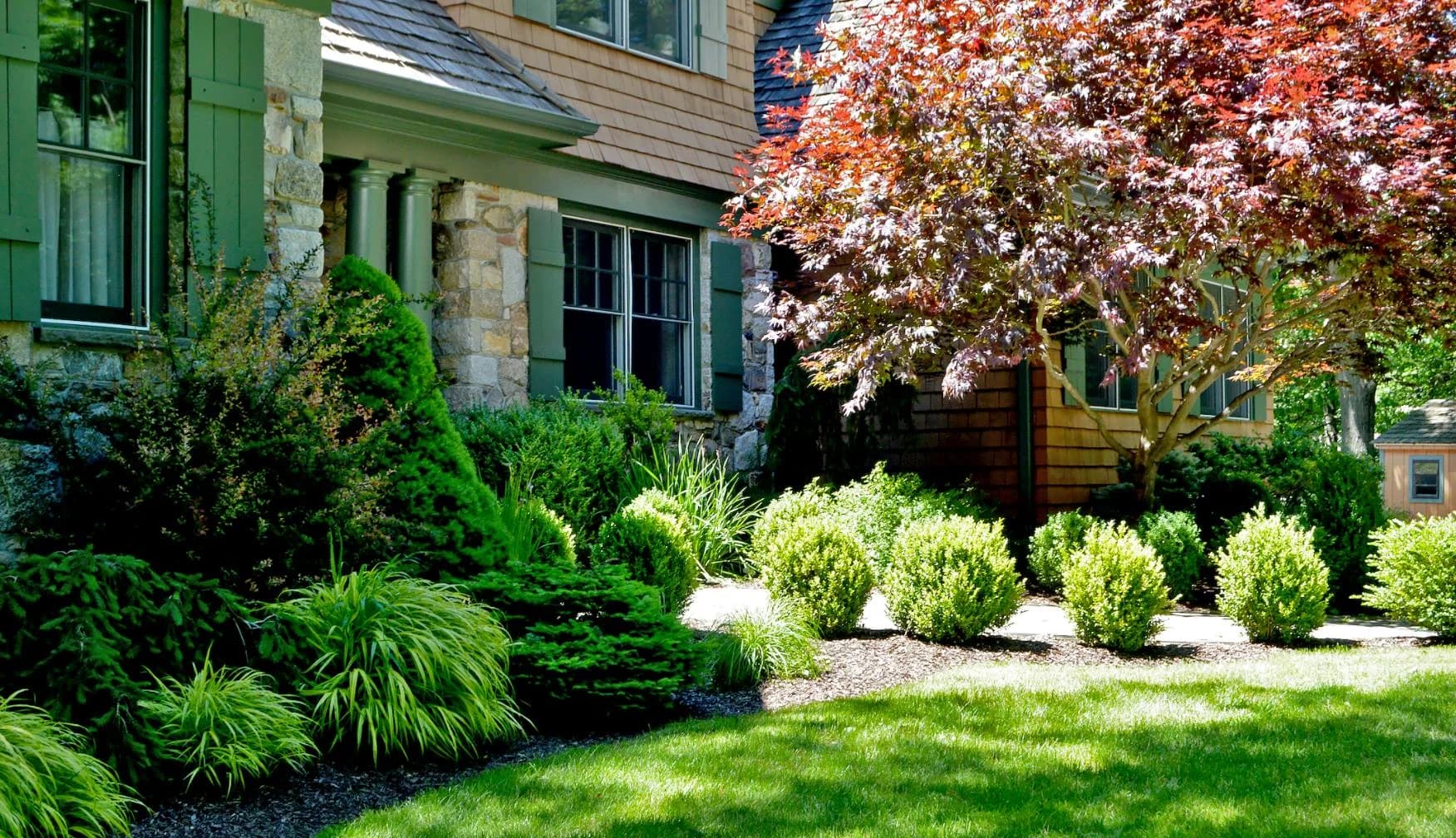 Tree & Shrub Planting Services in Asheville, NC