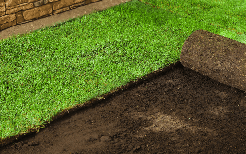 Sod Installation Services in Asheville, NC